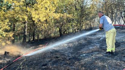 Orman yangınında 7 dönümlük arazi zarar gördü