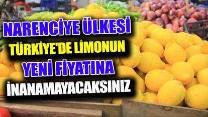 Narenciye ülkesi Türkiye'de limonun yeni fiyatına inanamayacaksınız