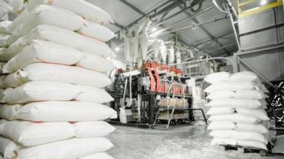 Un sanayicileri buğdayda 20 milyon tonluk rekolte bekliyor
