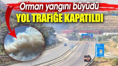 Orman yangını büyüdü. İzmir Manisa otoyolu trafiğe kapatıldı