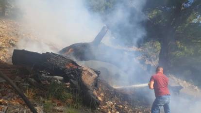 İzmir'de orman yangını. 3 saatte kontrol altına alındı