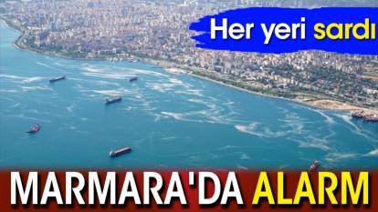 Marmara'da alarm: Her yeri sardı