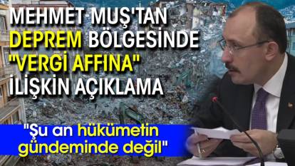 Mehmet Muş'tan deprem bölgesinde "vergi affına" ilişkin açıklama