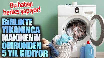 Bu hatayı herkes yapıyor! Birlikte yıkanınca makinenin ömründen 5 yıl gidiyor