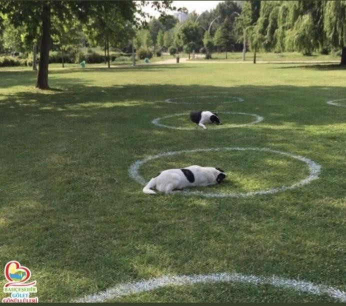 Fotoğraflar bunlar, başlığı size bırakıyoruz: En iyi yorum yapanın adın habere yazacağız - Resim : 1