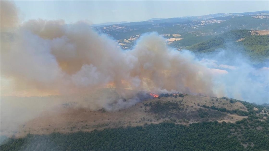 balikesirdeki-orman-yangini-kontrol-altina-alindi-yenicag-4.jpg