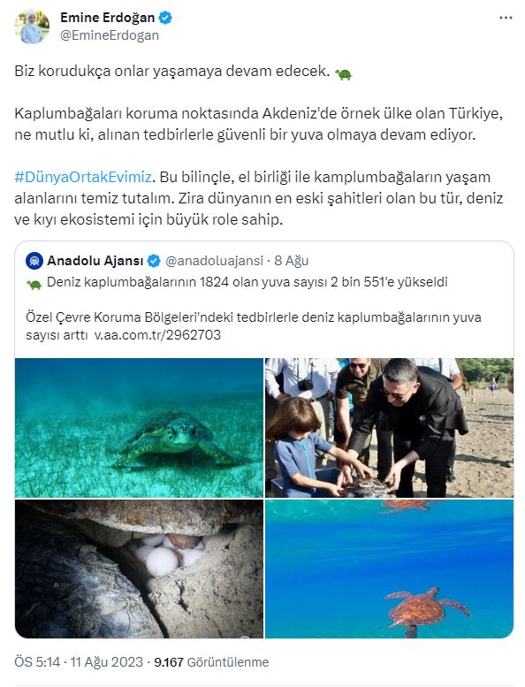 emine-erdogandan-deniz-kaplumbagasi-paylasimi-yenicag.jpg