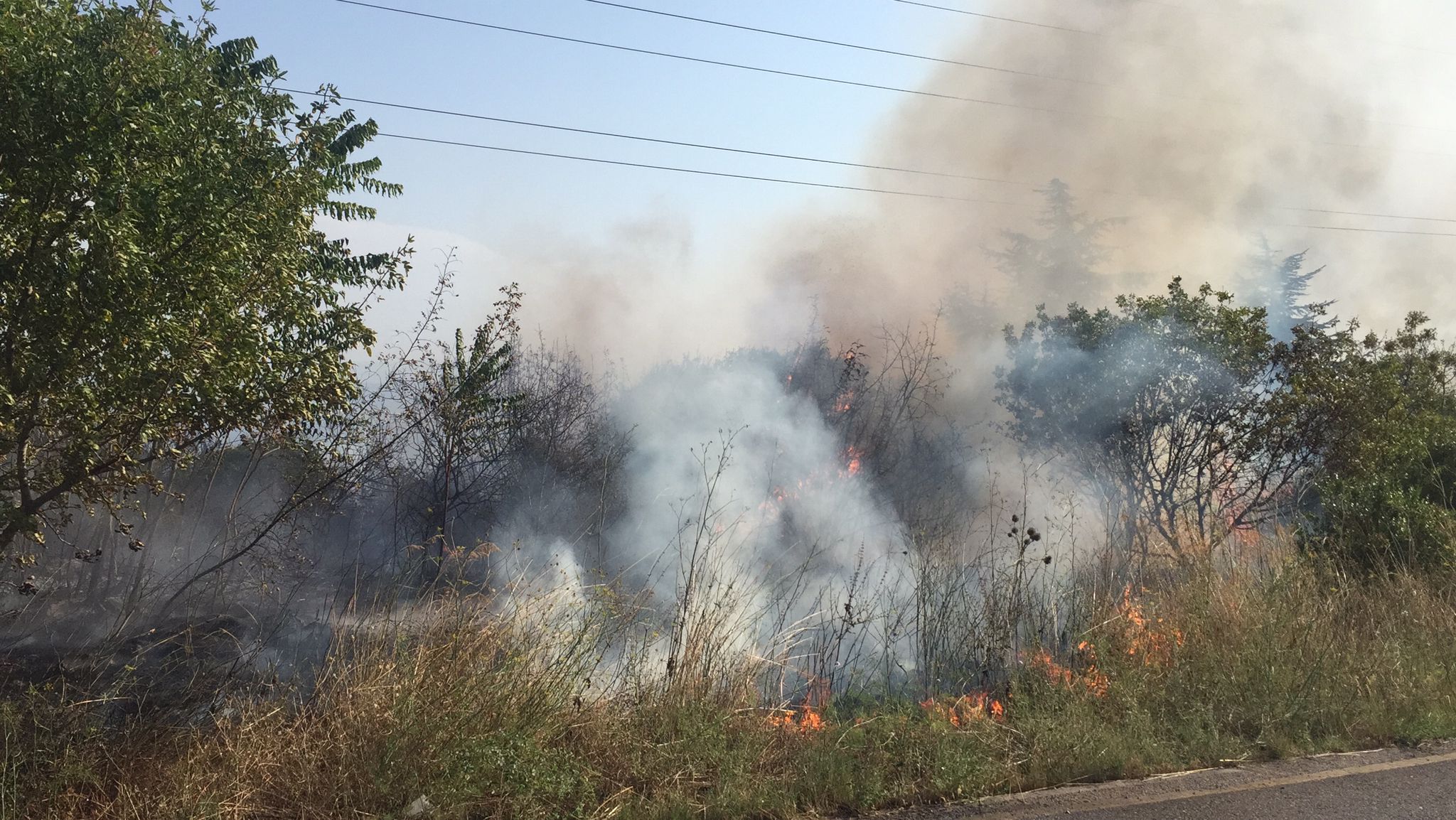 gebze-tubitak-yerleskesinde-orman-yangini-yenicag4.jpg