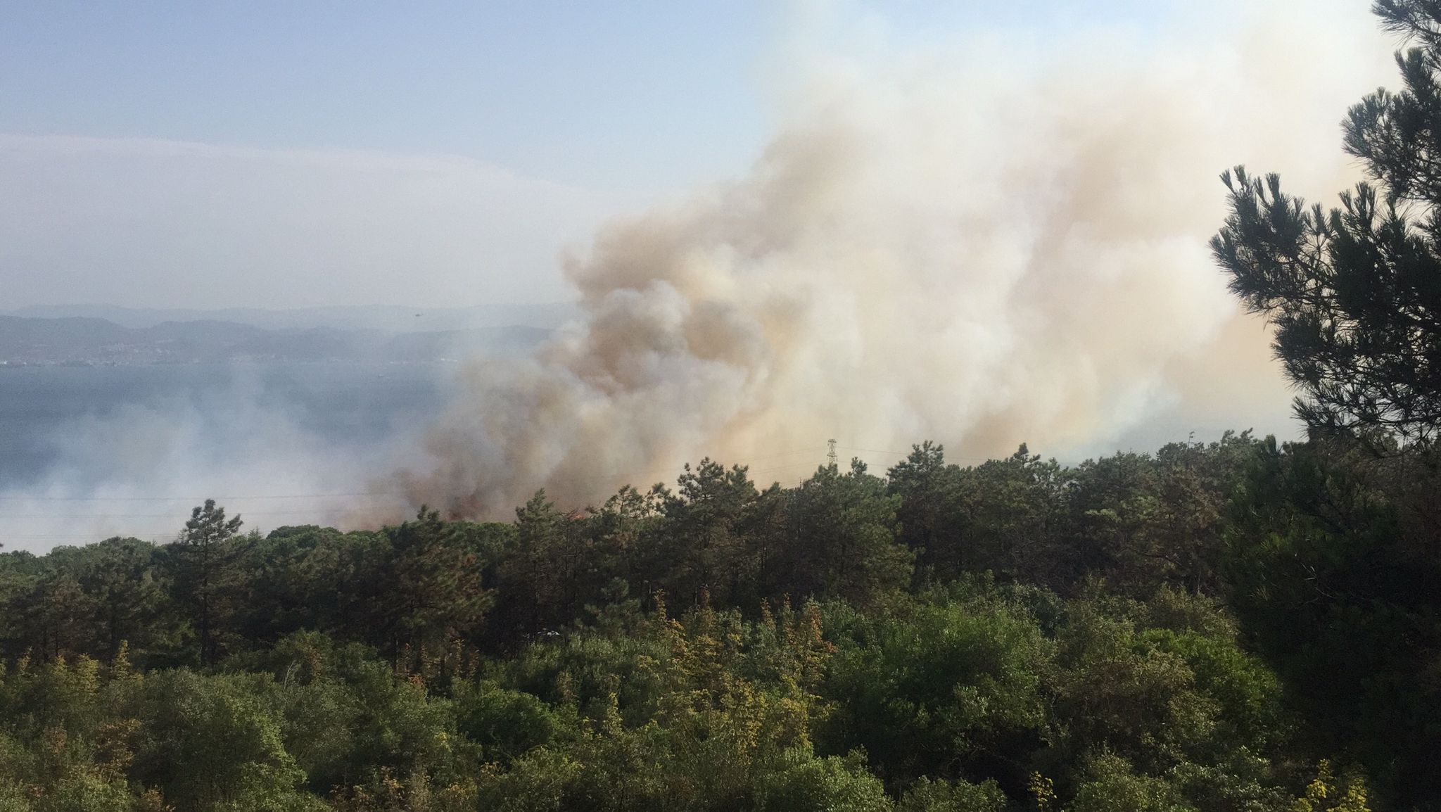 gebze-tubitak-yerleskesinde-orman-yangini-yenicag6.jpg