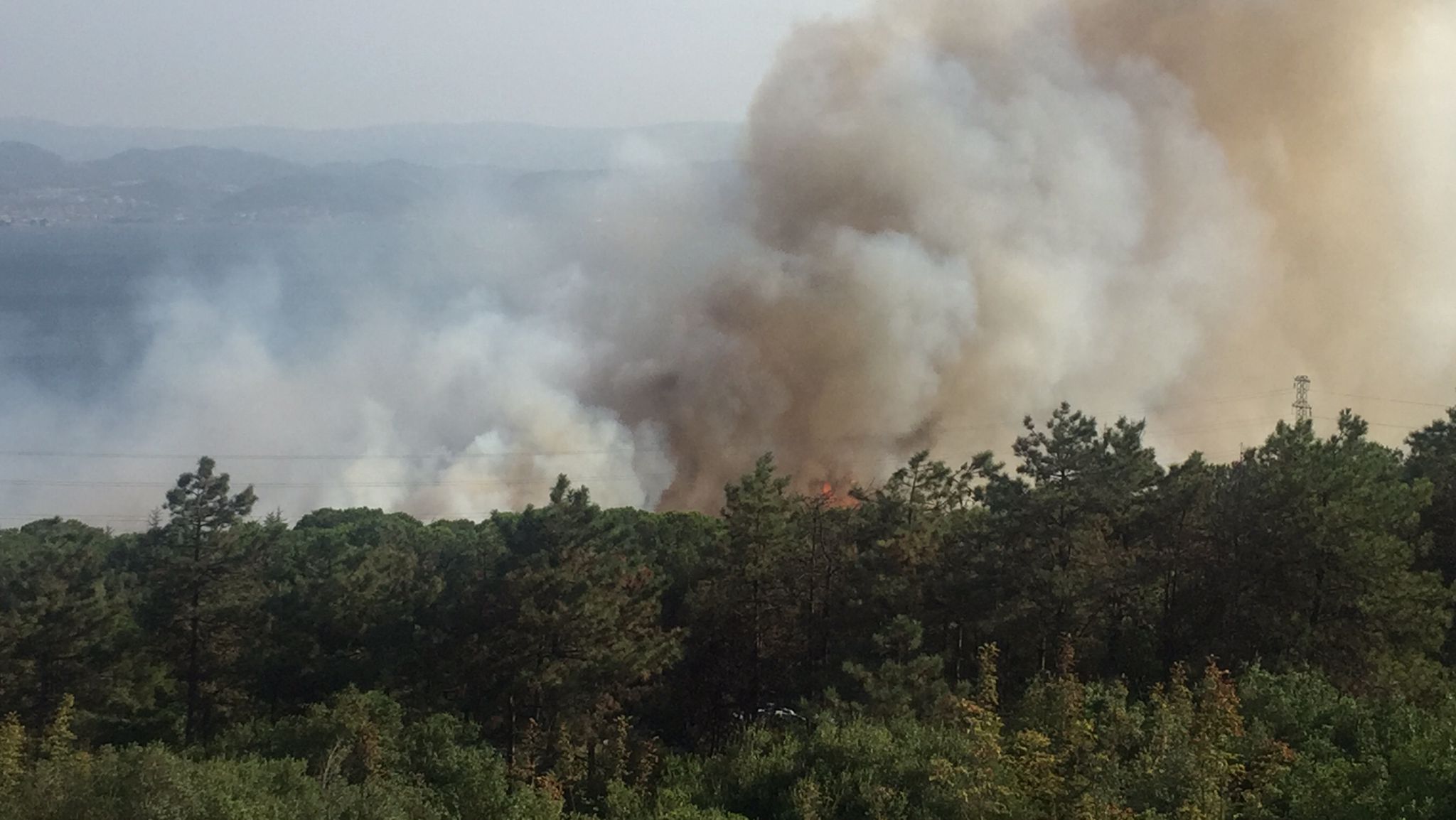 gebze-tubitak-yerleskesinde-orman-yangini-yenicag7.jpg