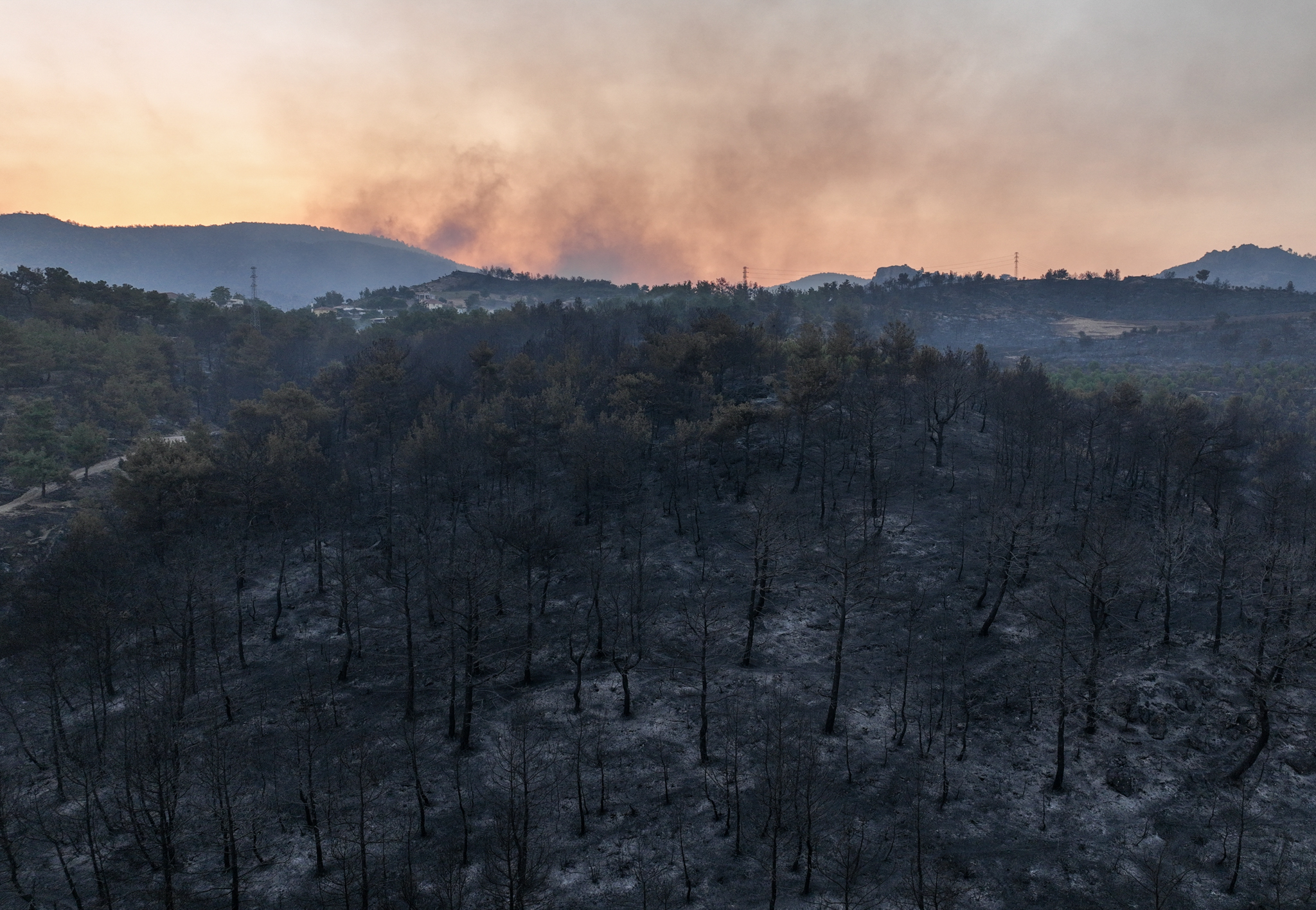 aa-20230823-31975009-31975006-efforts-to-extinguish-wildfire-continue-in-western-turkiye.jpg