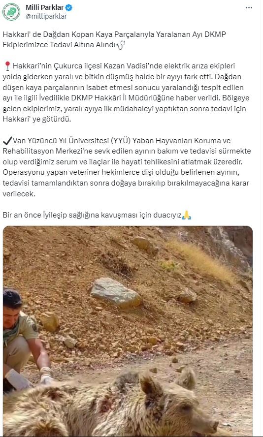 ayimayakakkaut.jpg