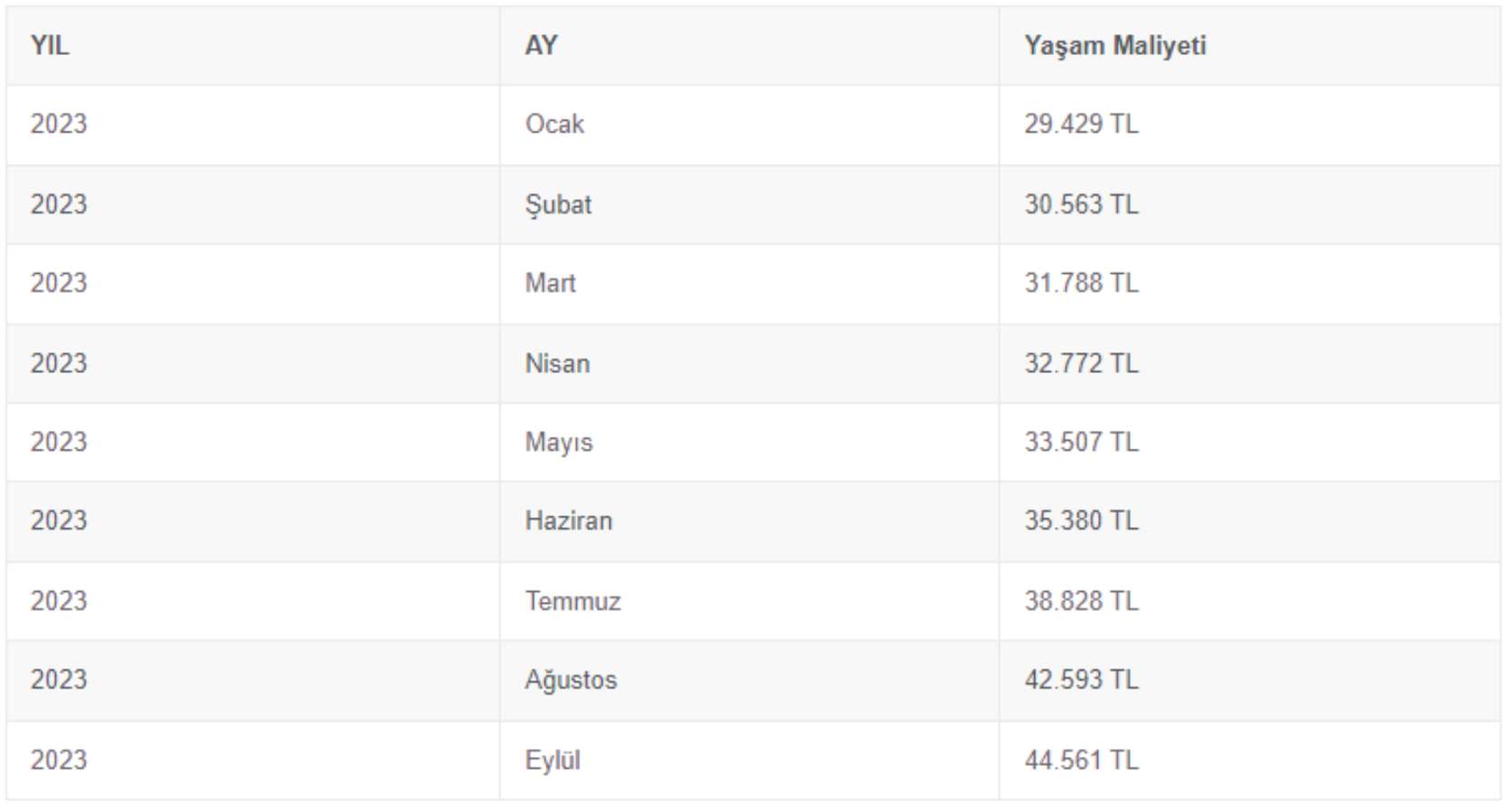 istanbul-ortalama-yasam-maliyeti-aylik.jpg