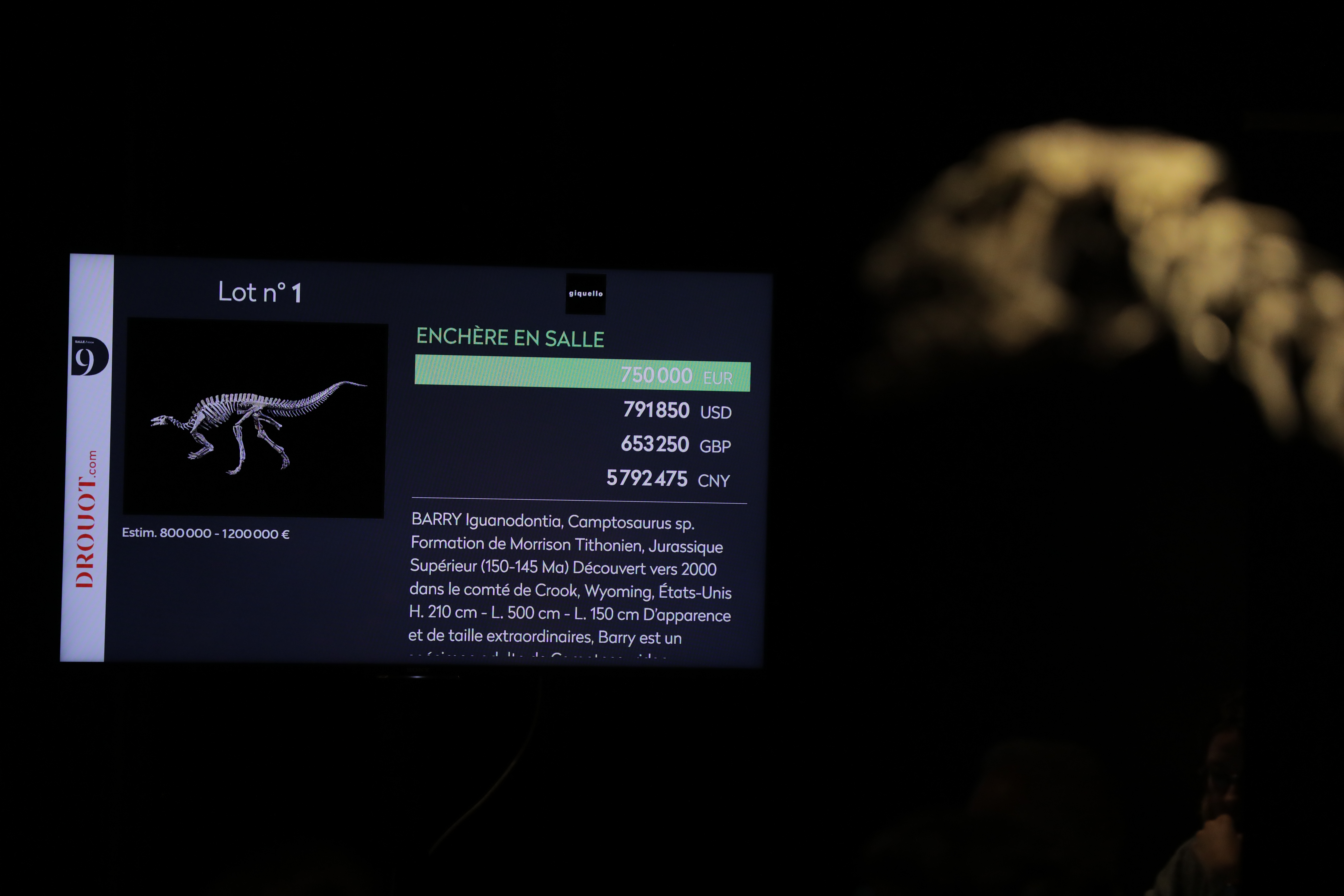 aa-20231020-32468915-32468911-150millionyearold-camptosaurus-skeleton-barry-is-sold-for-930000-euro-in-paris.jpg