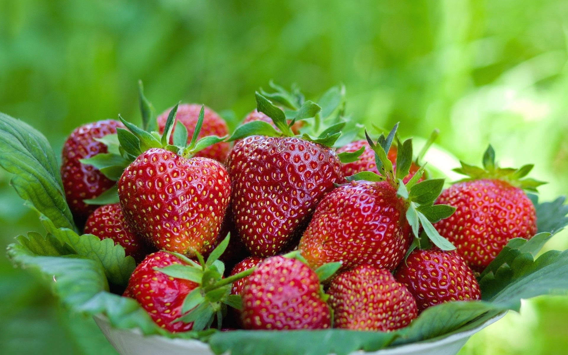 4k-a-basket-of-strawberries-pics1.jpg