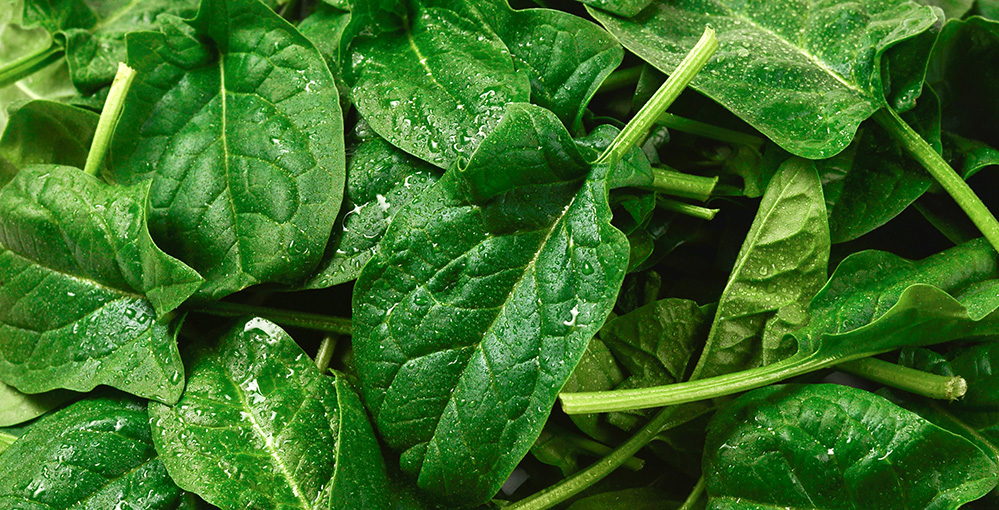 ispanak-spinach-salata-4.jpg