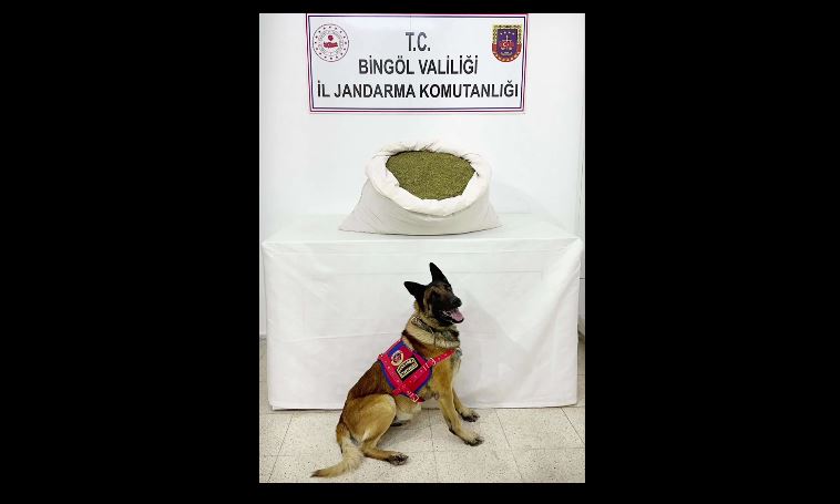 zehir-tacirlerine-gecit-yok-9-ilde-1-ton-43-kilo-uyusturucu-434-gozalti-yenicag-19.jpg