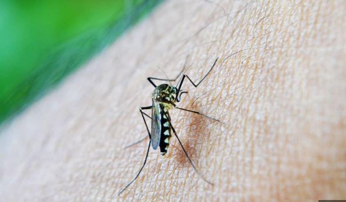 sivrisinek-kabusuna-son-verin-pencere-kenarina-bir-miktar-koymaniz-yeterli-yenicag-12.jpg