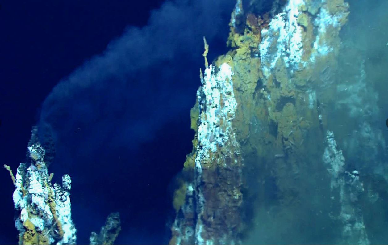 rastlantiyla-gerceklesen-kesiflerden-biri-hidrotermal-bacalar-yenicag-10.jpg