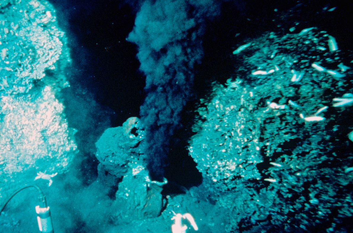 rastlantiyla-gerceklesen-kesiflerden-biri-hidrotermal-bacalar-yenicag-14.jpg