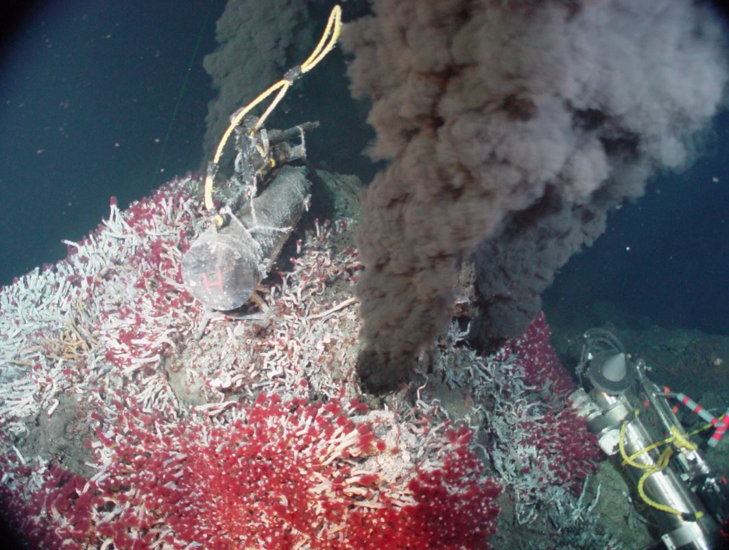 rastlantiyla-gerceklesen-kesiflerden-biri-hidrotermal-bacalar-yenicag-3.jpg