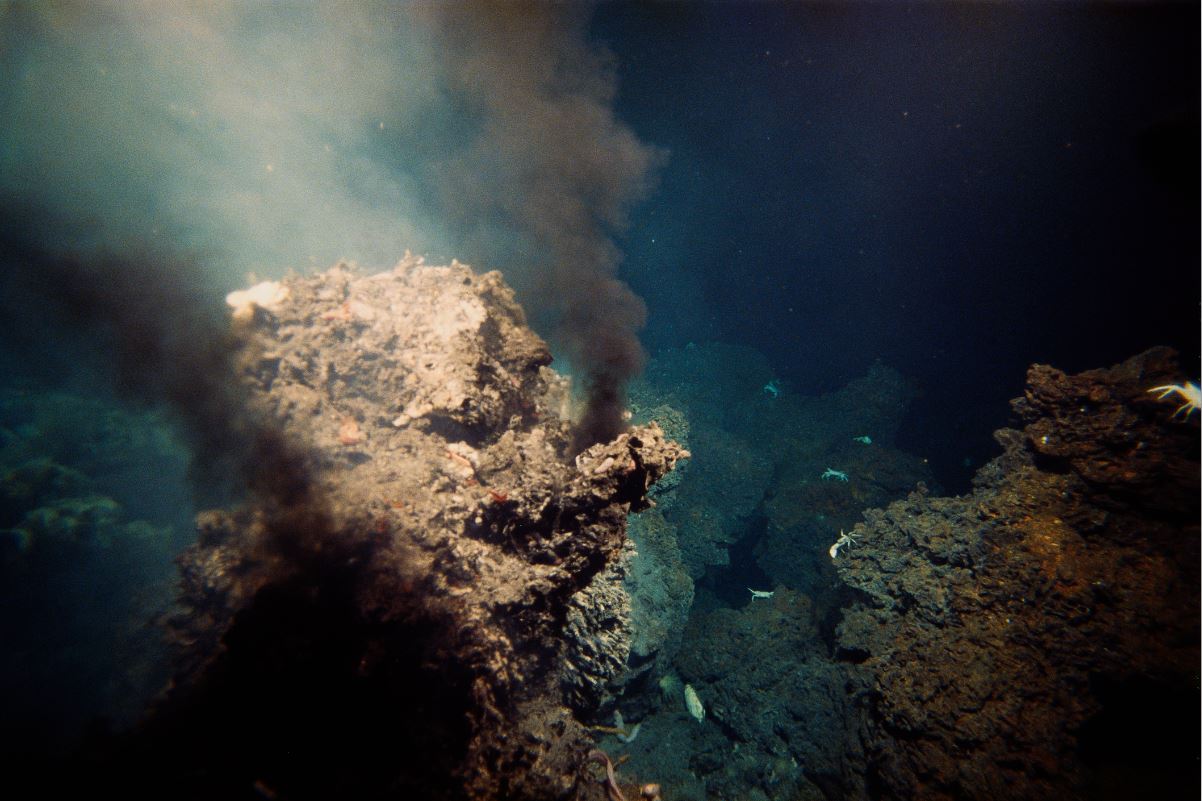 rastlantiyla-gerceklesen-kesiflerden-biri-hidrotermal-bacalar-yenicag-5.jpg