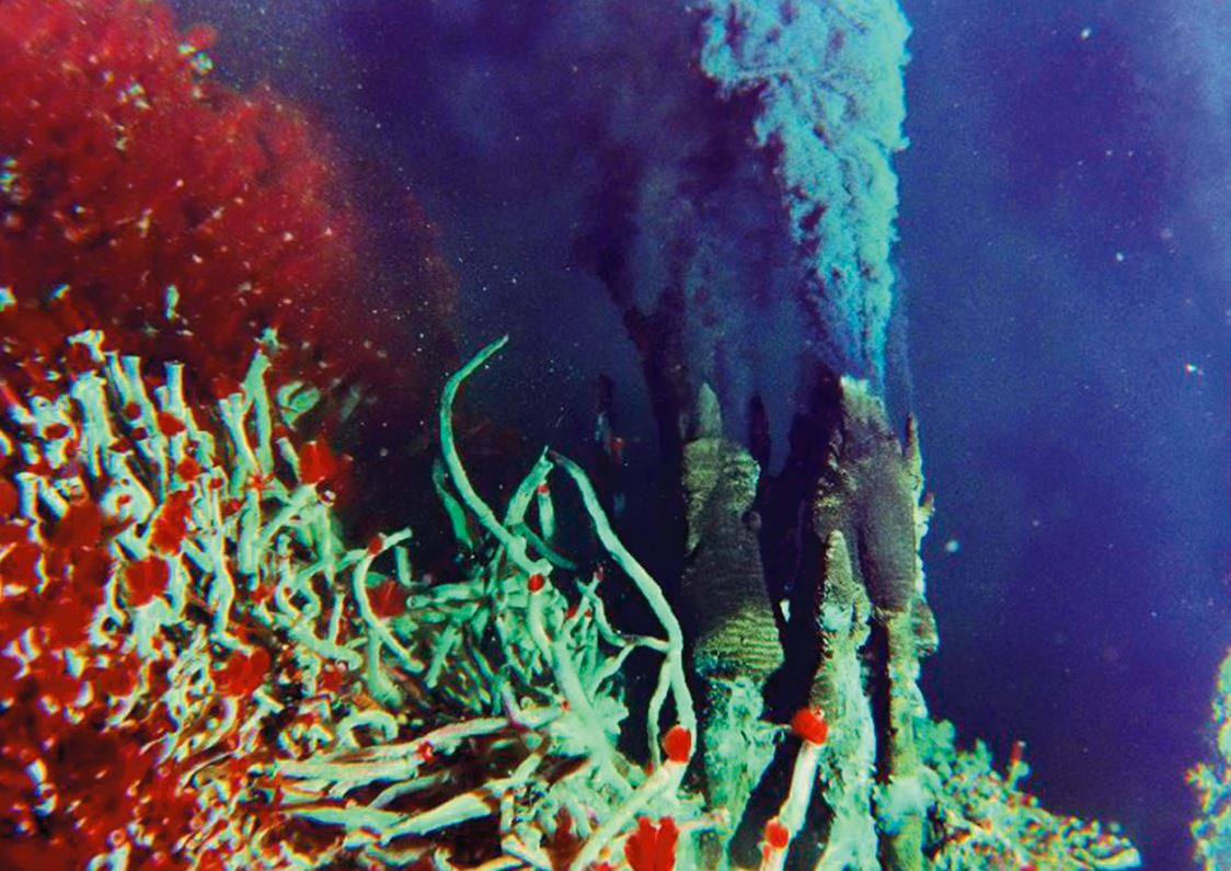 rastlantiyla-gerceklesen-kesiflerden-biri-hidrotermal-bacalar-yenicag-9.jpg