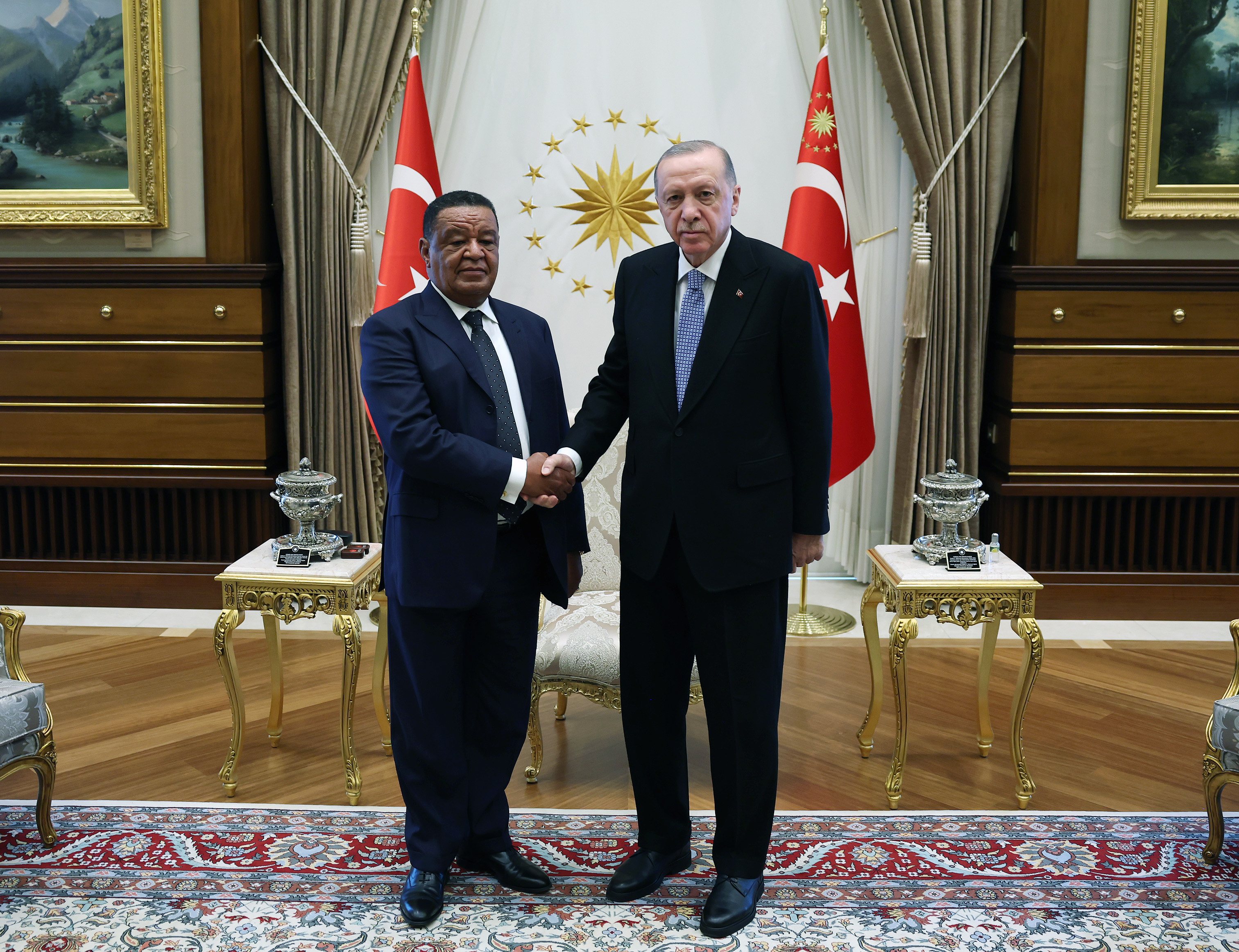 erdogan-eski-etiyopya-cumhurbaskani-wirtuyu-kabul-etti-yenicag-1.jpg