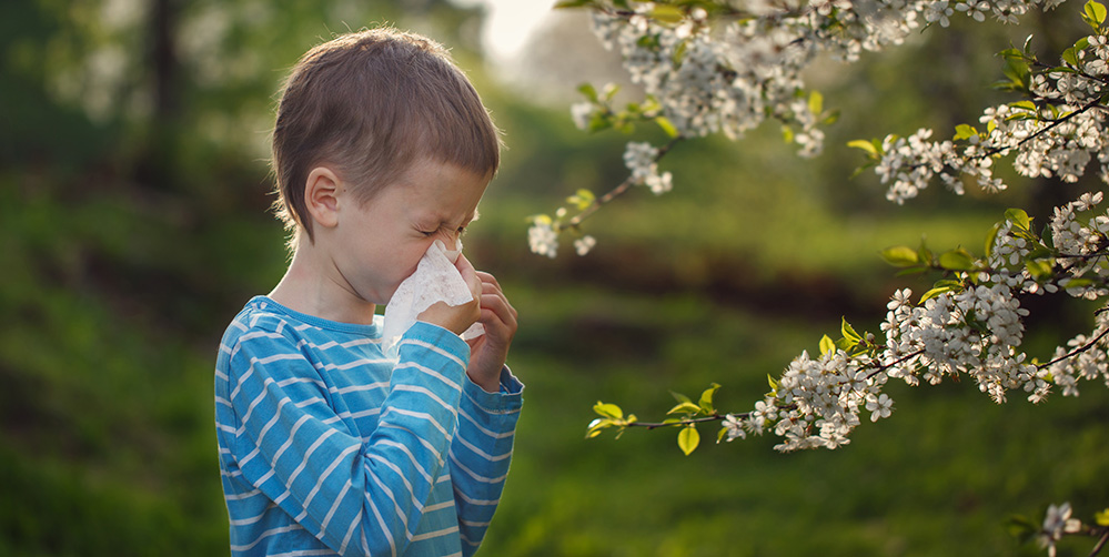 polen-alerjisi-allergy-4.jpg