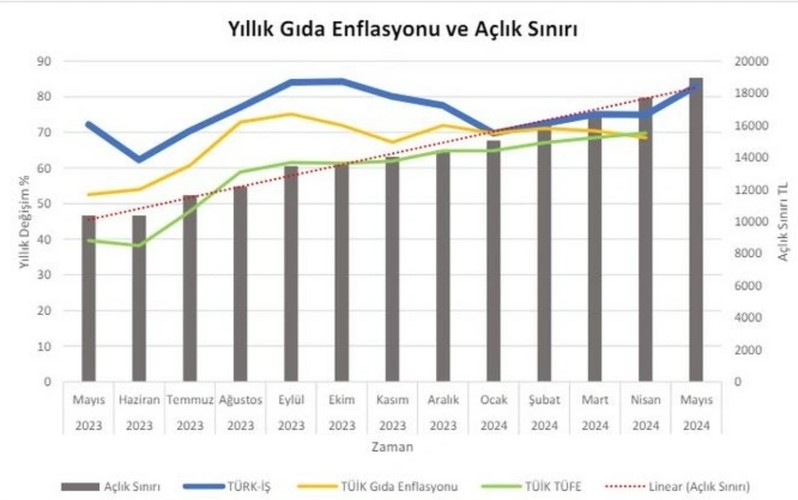 gidaenflasyonugrafik-yenicag.jpg