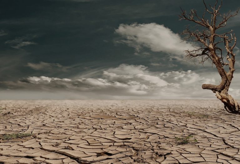 arid-climate-change-768x524.jpg