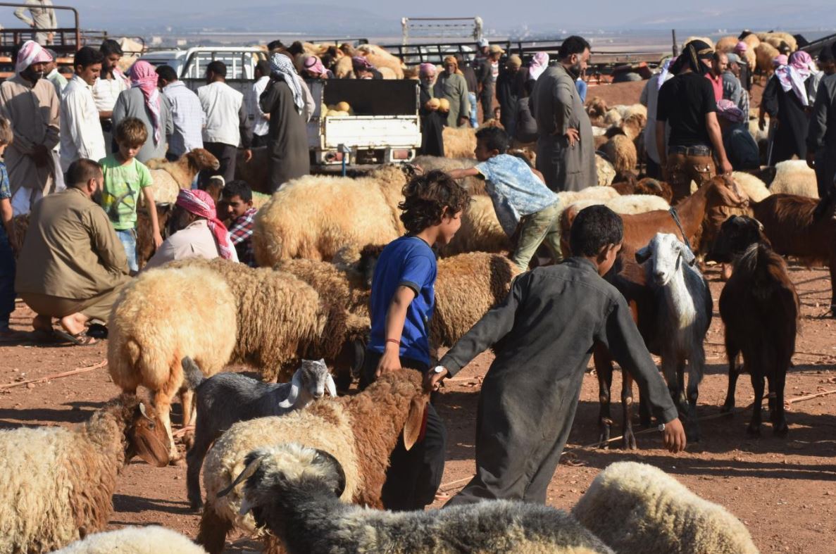 kurban-bayrami-tatili-ne-zaman-basliyor-ve-bitiyor-kurban-bayrami-tatili-ayin-kacinda-hangi-gun-yenicag-18.jpg