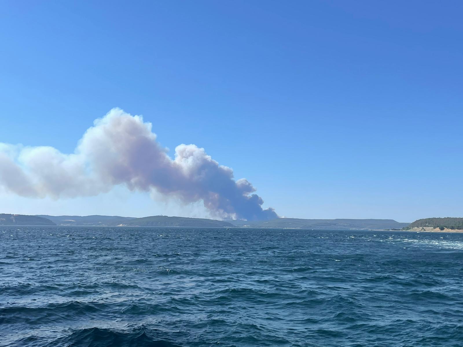 aa-20240618-34912066-34912065-oneway-ship-traffic-in-the-canakkale-strait-was-suspended-due-to-forest-fire-001.jpg