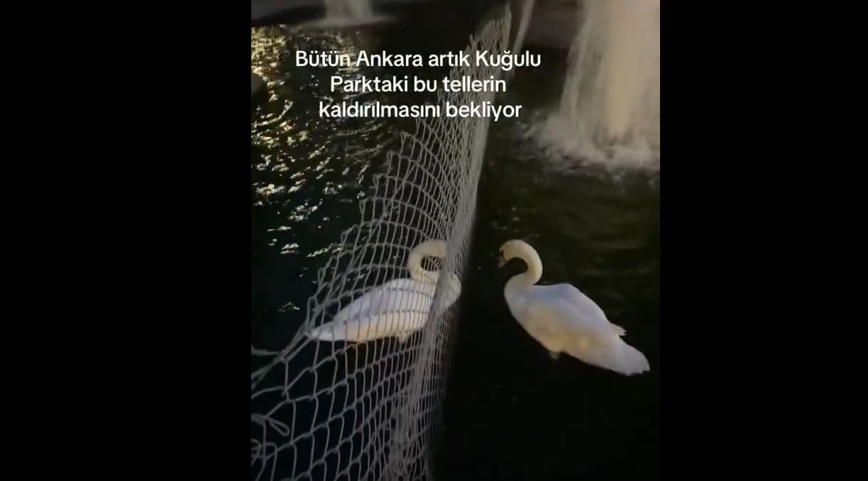 ankaralilar-bu-telleri-konusuyor-sabah-aksam-ayni-yerde-bulusuyorlar-yenicag-1.jpg