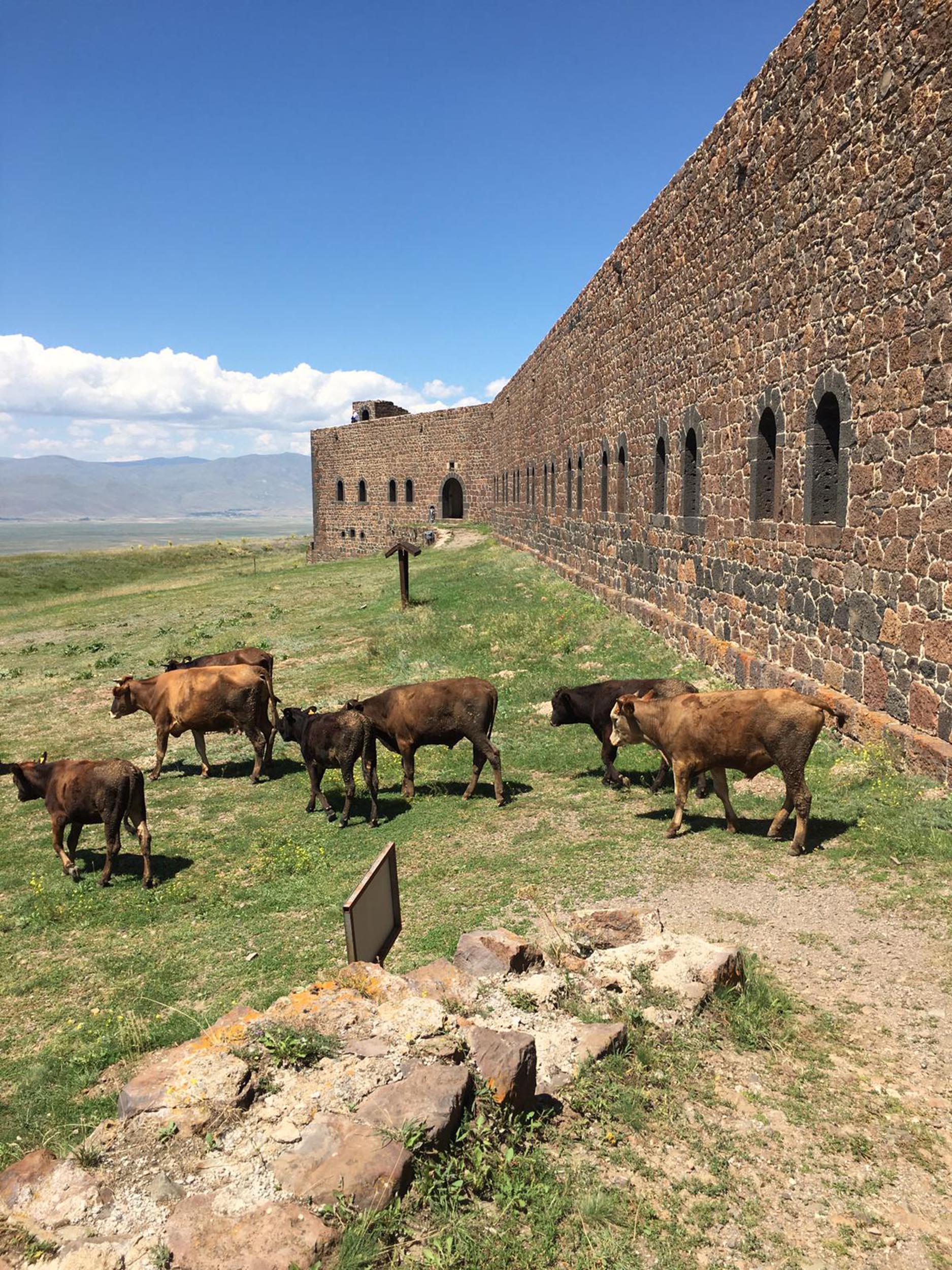 ecdadin-kemiklerini-sizlatan-goruntu-mecidiye-tabyasi-ahira-dondu-yenicag6.jpg