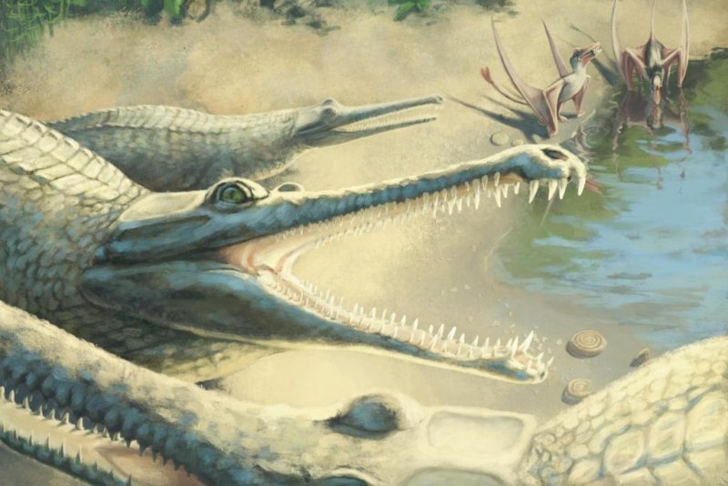 jurassic-crocodile-species-identified-250-years-after-fossil-discovery.jpg