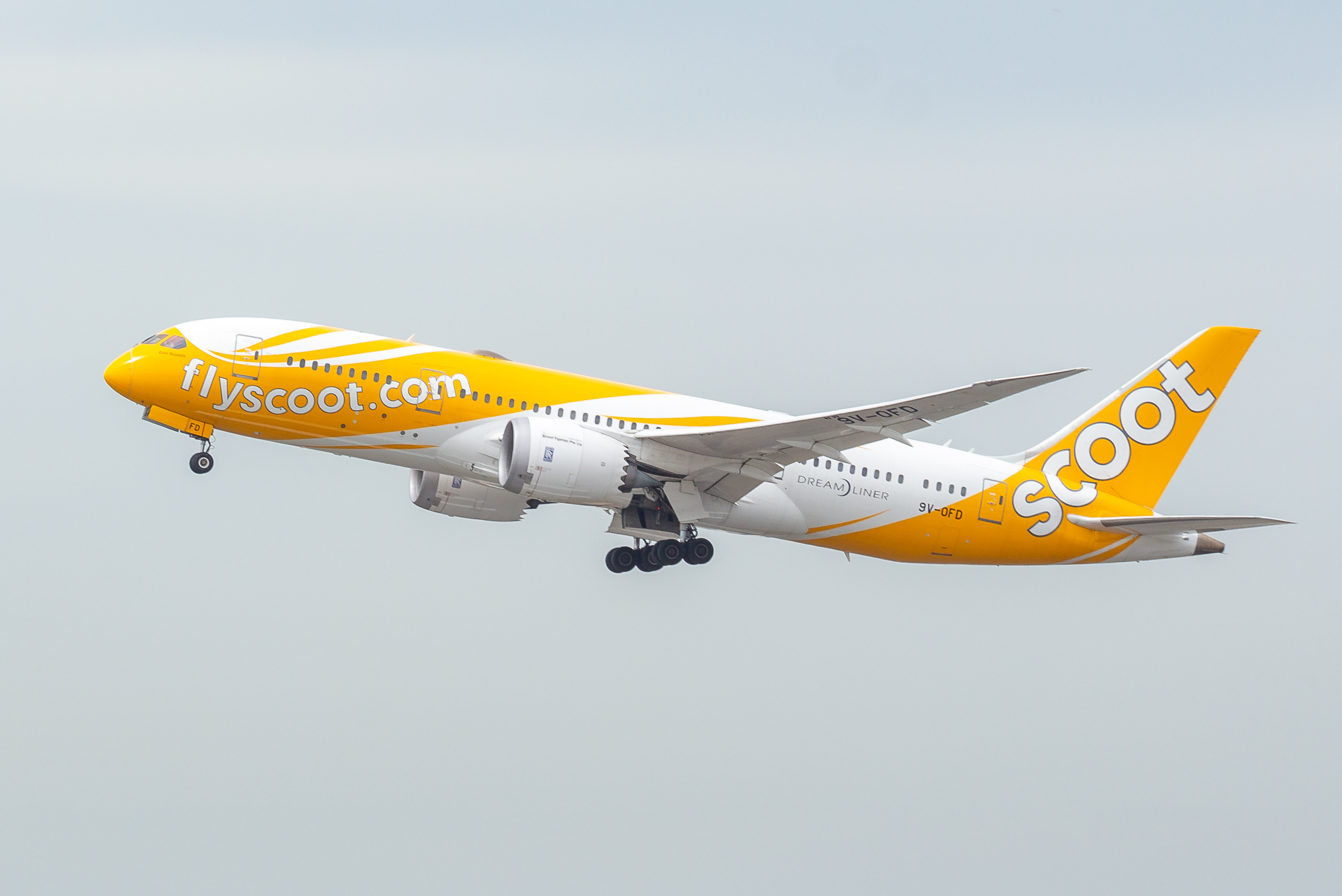 scoot-787-8-9v-ofd.jpg