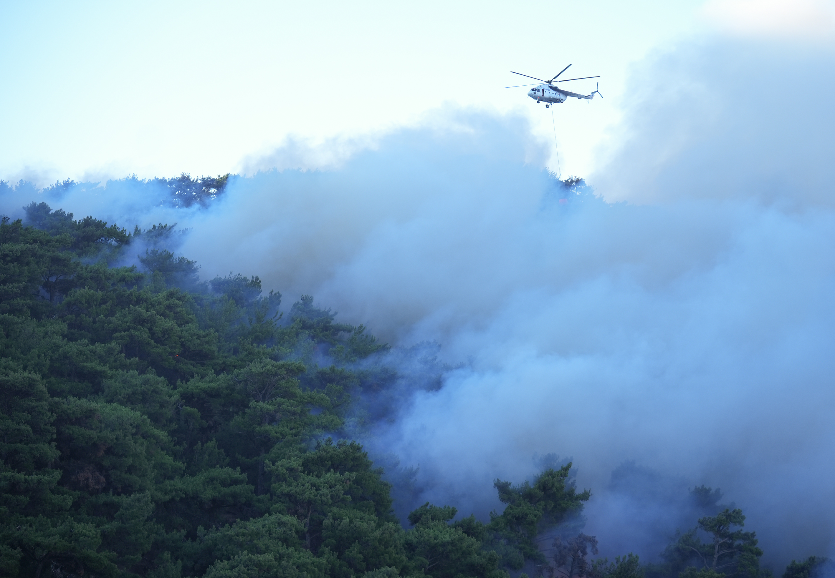 aa-20240817-35421862-35421860-efforts-continue-to-combat-forest-fires-in-izmir.jpg