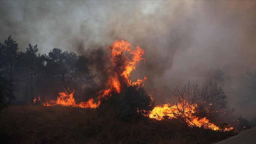 yunanistanda-orman-yangini-riskine-karsi-sari-alarm-verildi-yenicag0.jpg