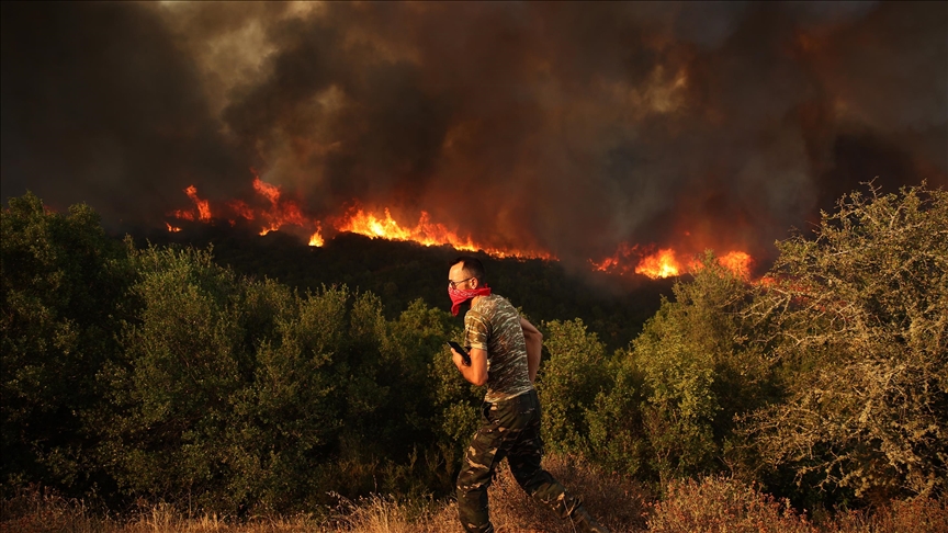 yunanistanda-orman-yangini-riskine-karsi-sari-alarm-verildi-yenicag11.jpg