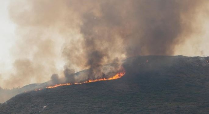 yunanistanda-orman-yangini-riskine-karsi-sari-alarm-verildi-yenicag8.jpg