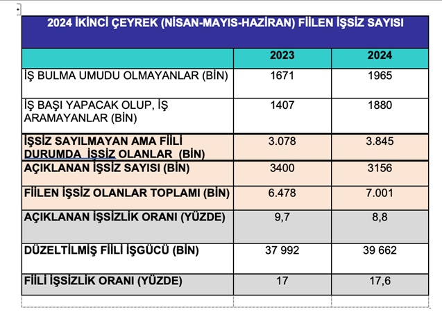 fiilen-issiz-sayisi.jpg