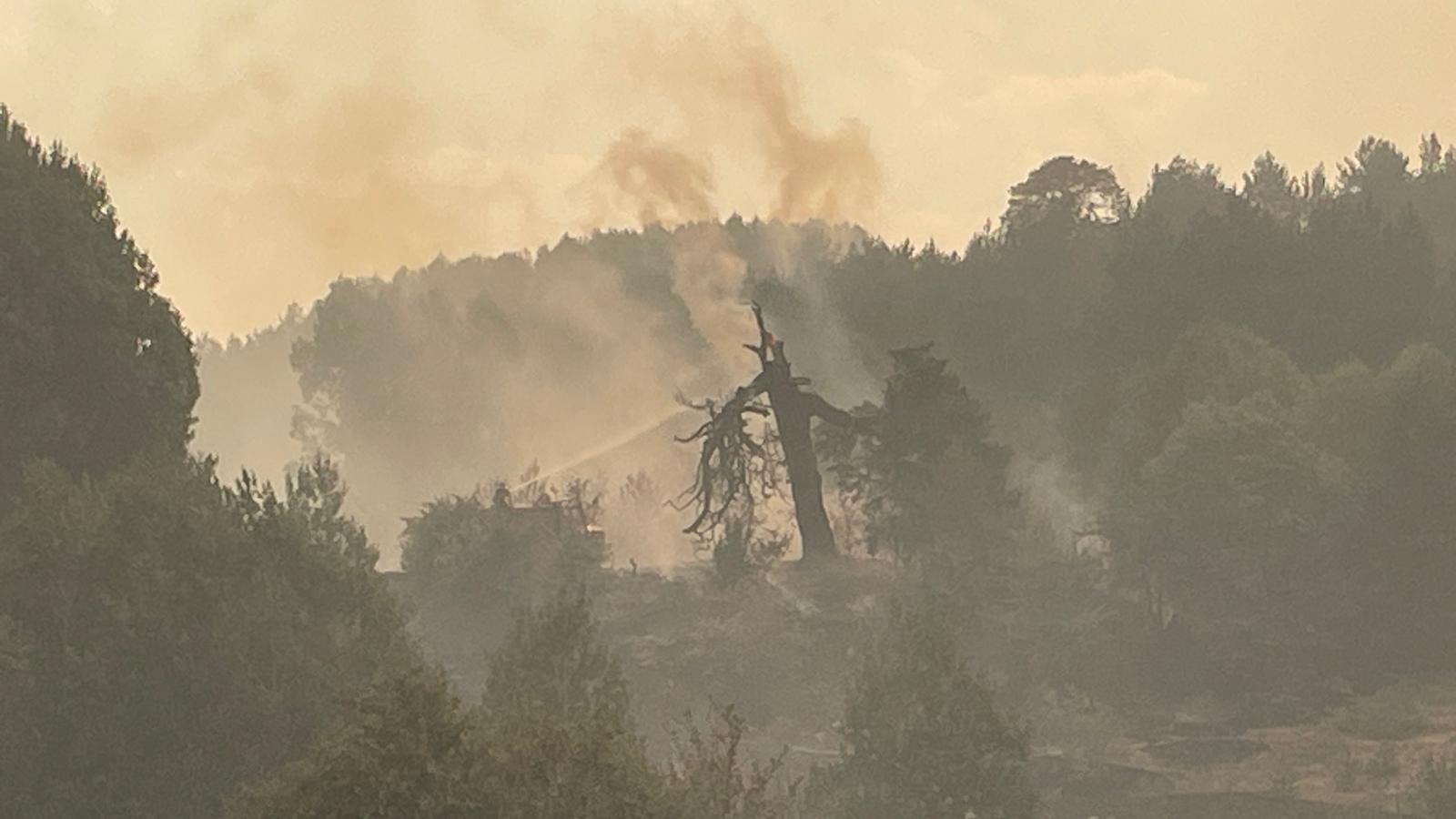 aa-20240821-35454685-35454683-wildfire-rages-across-ankara-and-bolu.jpg