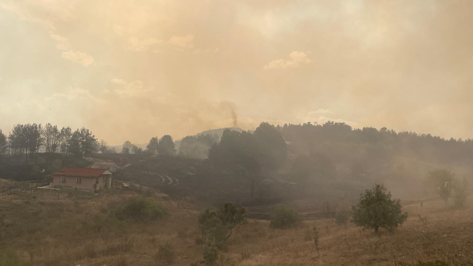 aa-20240821-35454685-35454684-wildfire-rages-across-ankara-and-bolu.jpg