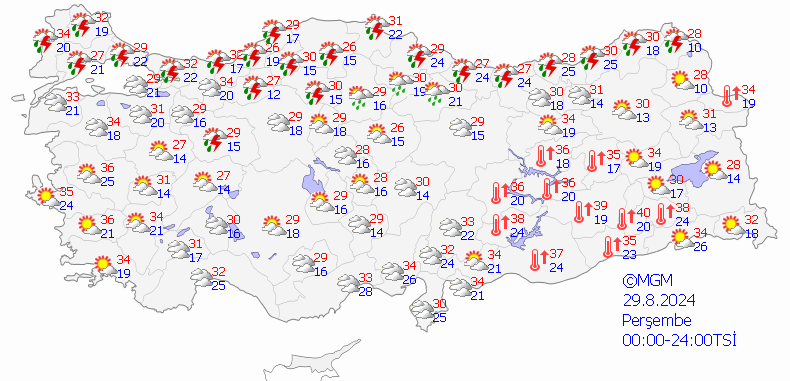 haritatahmingun4-22png-fj7w5vc6yuqyyziyjpi2wg.webp