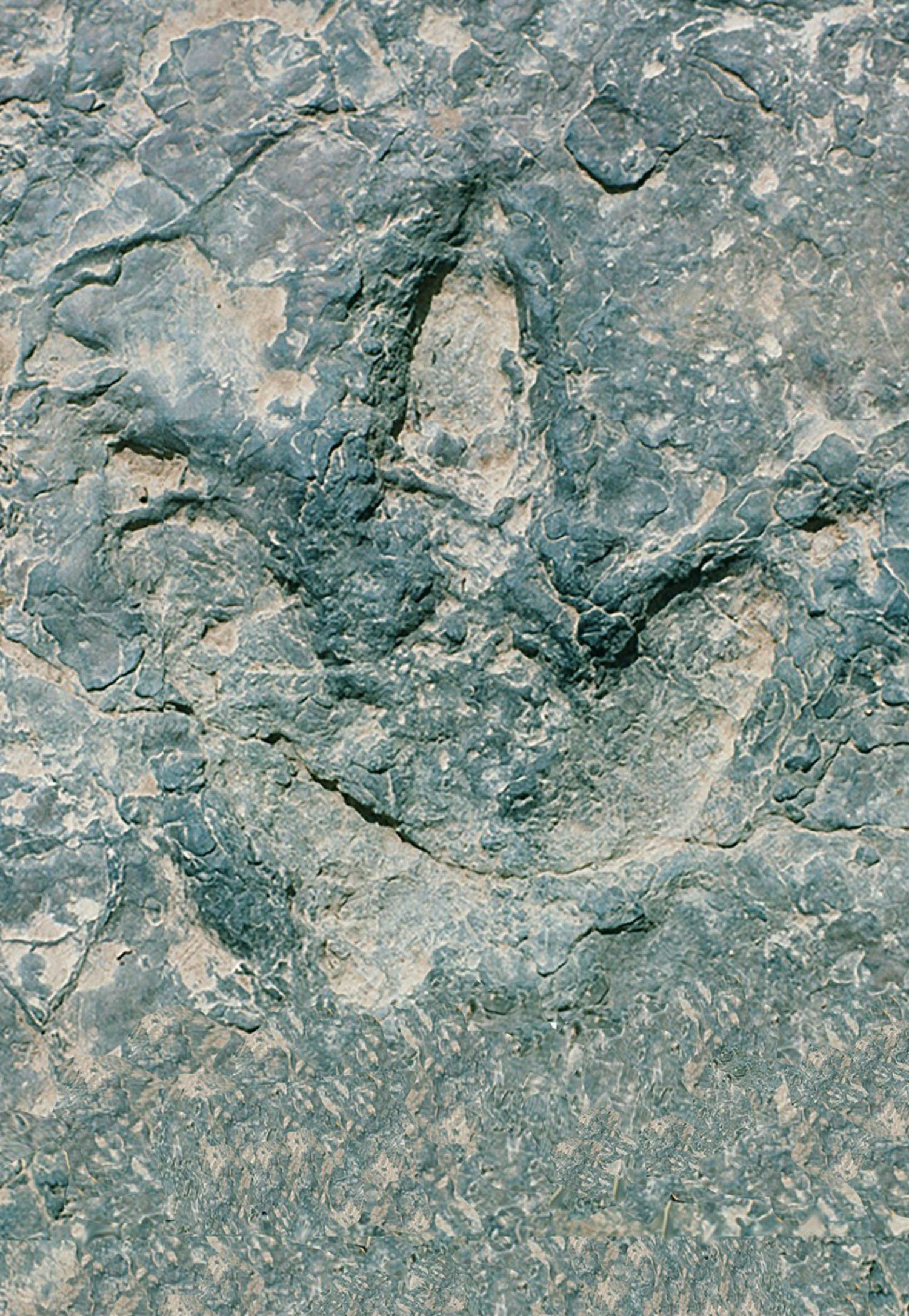 image-13201-2e-gondwana-footprint.jpg