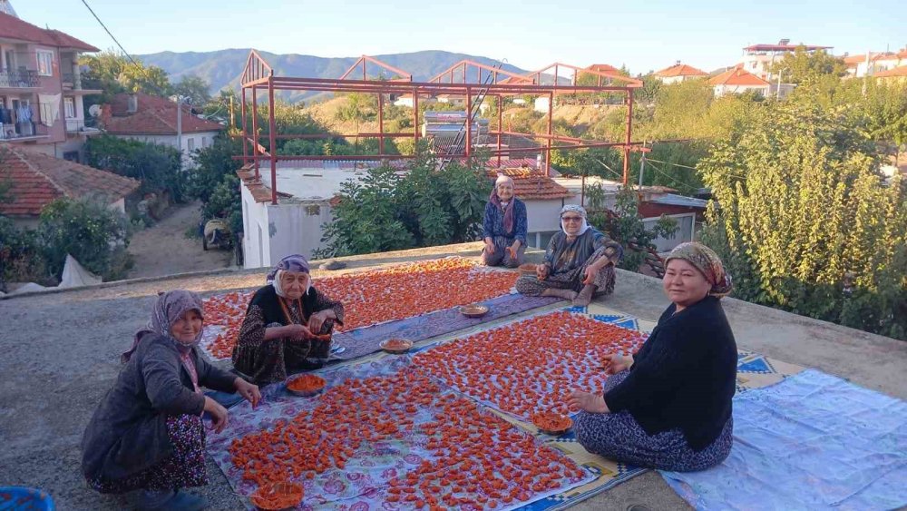 90 yılı deviren üç kadın uzun yaşamın sırrını açıkladı