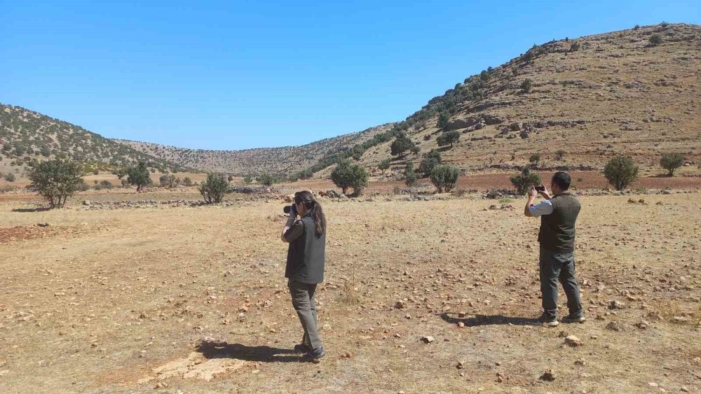 Şırnak’ta kaçak avcılığa karşı ekiplerden denetim