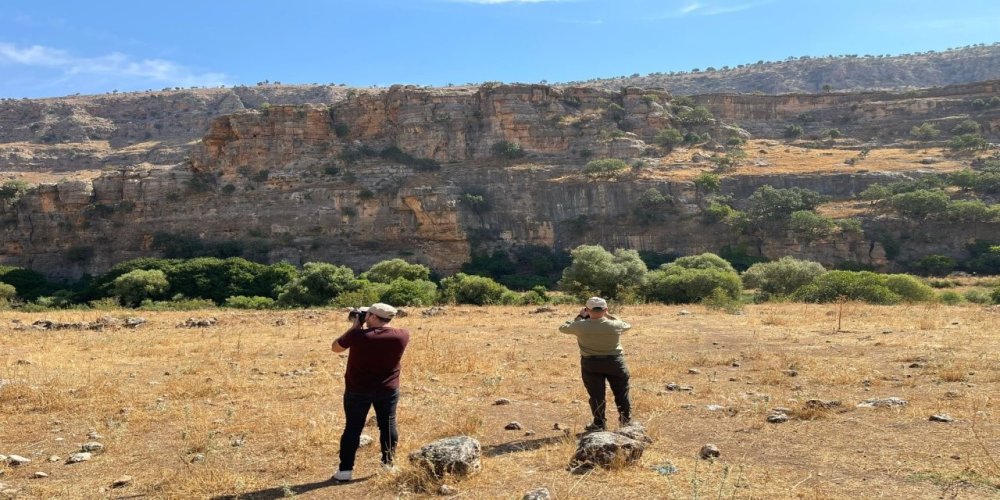 Şırnak’ta kaçak avcılığa karşı ekiplerden denetim