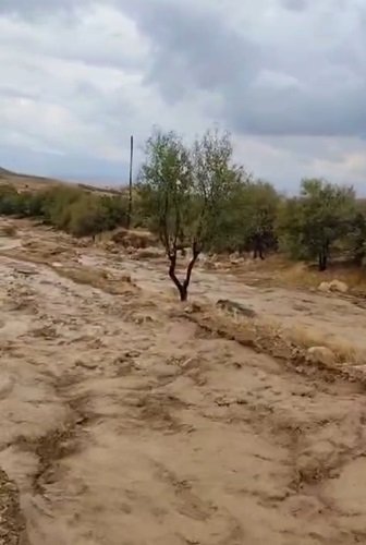 Sağanak ve dolu Keban ve Baskil'i vurdu: Kayısı bahçeleri zarar gördü